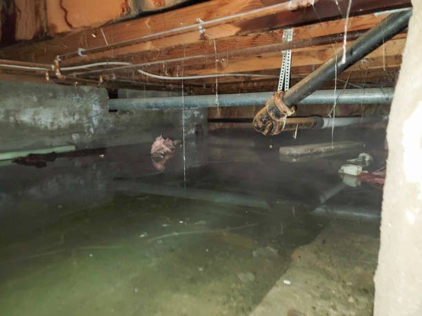 Best Sewage cleanup and water damage restoration  in Tishomingo, OK