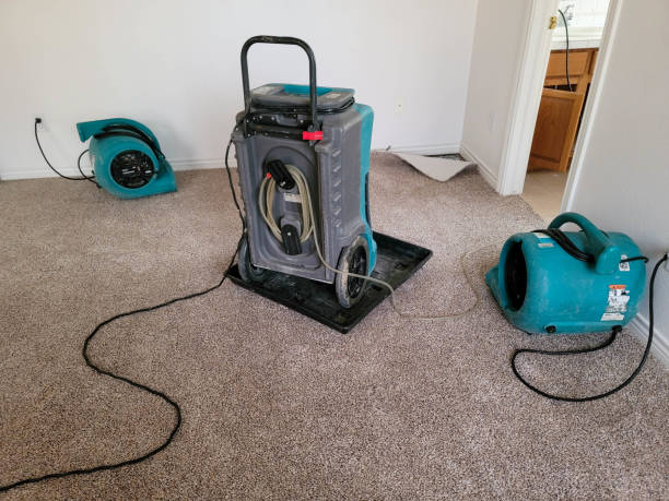 Best Water damage cleanup near me  in Tishomingo, OK