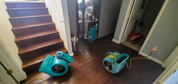  Tishomingo, OK Water damage restoration Pros