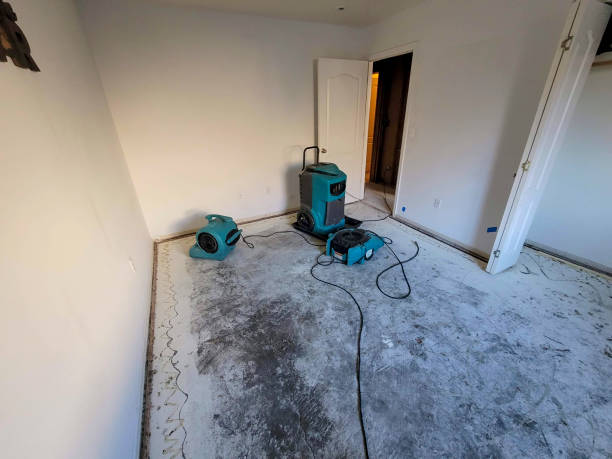 Best Flood damage cleanup  in Tishomingo, OK