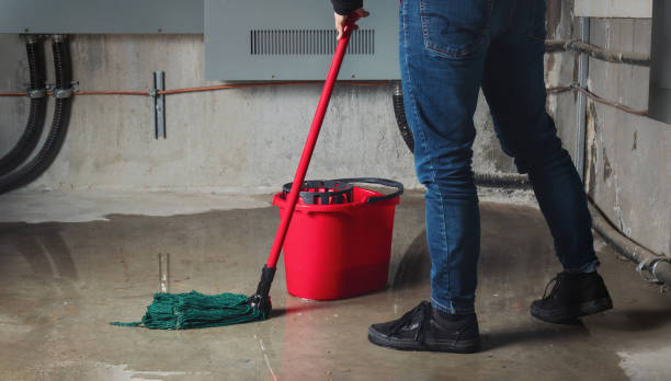 Best Flood damage cleanup  in Tishomingo, OK