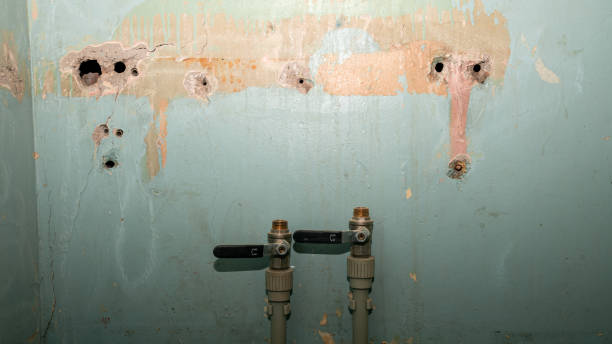 Best Water damage contractors near me  in Tishomingo, OK