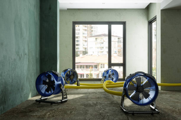 Best Commercial water damage restoration  in Tishomingo, OK